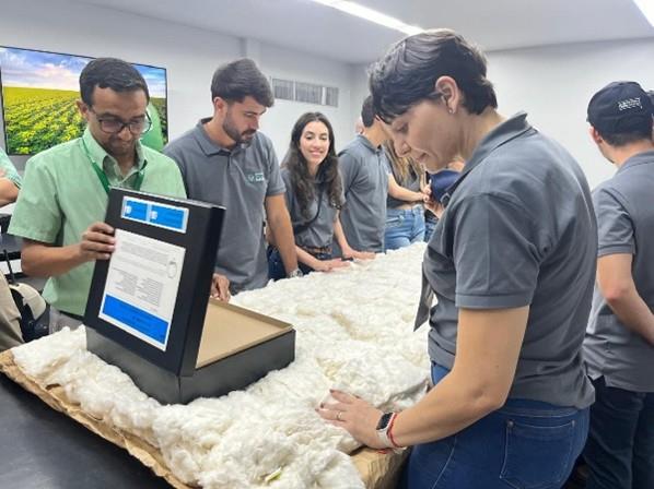 Brazilian Cotton School